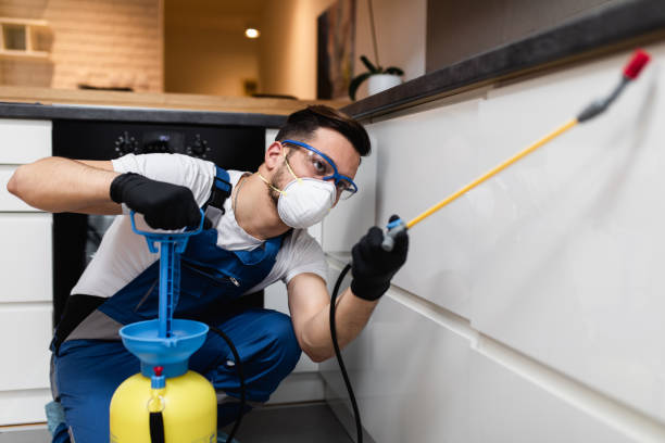 Best Exterminator Services  in Ferndale, MD
