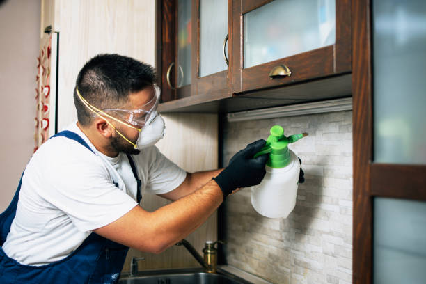 Best Emergency Pest Control  in Ferndale, MD