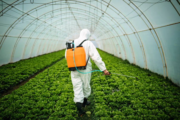 Best Mosquito Control Services  in Ferndale, MD