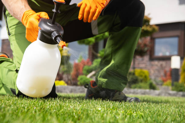 Best Residential Pest Control  in Ferndale, MD