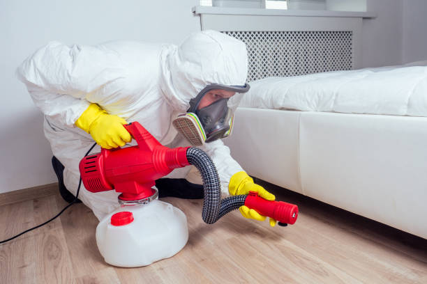 Best Wasp Removal Services  in Ferndale, MD