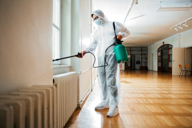 Flea Control Services in Ferndale, MD